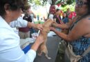 Celebra Ayuntamiento de Veracruz el Día Mundial del Perro con jornada de bienestar animal