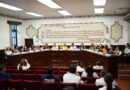 Cabildo impulsa reforma al reglamento de protección y bienestar animal
