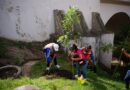Ayuntamiento une esfuerzos para recuperar espacios y reverdecer Xalapa