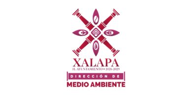 En Rincón de la Marquesa hubo retiro de árboles por representar riesgos; no es tala ilegal