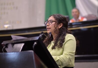 PVEM va por reglas firmes para proteger a los animales en refugios de Veracruz: Diputada Tania María Cruz Mejía