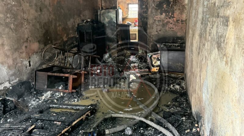 Fuego consume vivienda en Veracruz; logran salvar a siete perros