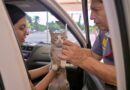 Fortalece Ayuntamiento de Veracruz la salud y protección de animales de compañía en Jornada Nacional de Vacunación 2026