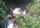 Advierten por abandono de restos de animales en zonas naturales de Ixhuacán de los Reyes