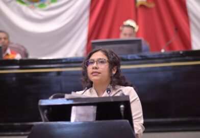 Que la burocracia no sea otra barrera; la diputada Tanía María Cruz Mejía impulsa reforma para personas con discapacidad