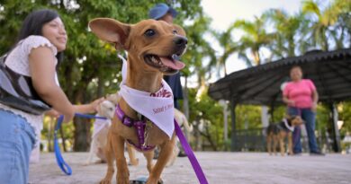 Encuentran hogar todos los caninos de la 17ª edición de la Expo Adopta