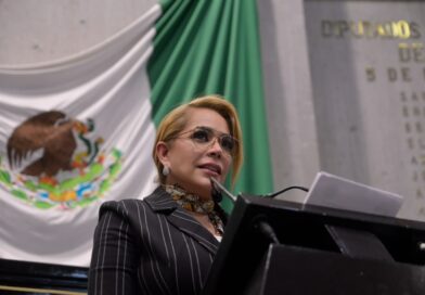 Citlali Medellín reconoce labor de Rocío Nahle en apoyo alimentario; PVEM llama a los 212 ayuntamientos a sumarse