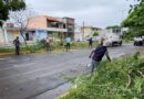Mantiene Ayuntamiento de Veracruz atención inmediata a la población ante efectos del Frente Frío 2