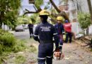 Atiende Ayuntamiento de Veracruz 41 afectaciones por Frente Frío No. 2 y mantiene operativo en toda la ciudad