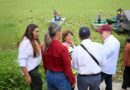 Supervisa Rosa María limpieza de la Laguna de Lagartos, que permitirá mejorar el flujo del agua de lluvia