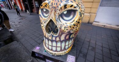 Recorre la Ruta de Calaveras Monumentales en el Centro Histórico y vota por tus favoritas