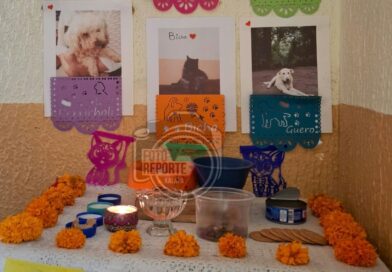 Croquetas, agua y figuras de perritos: así recuerdan a las mascotas en Día de Muertos