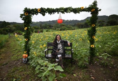 San Pablo Coapan se prepara para recibir visitantes entre campos de cempasúchil