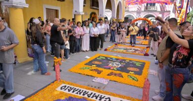 Preserva Rosa María tradiciones mexicanas con exhibición de altares y tapetes en Veracruz